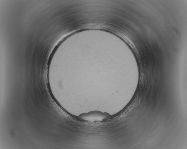 X0000112530992200909281034