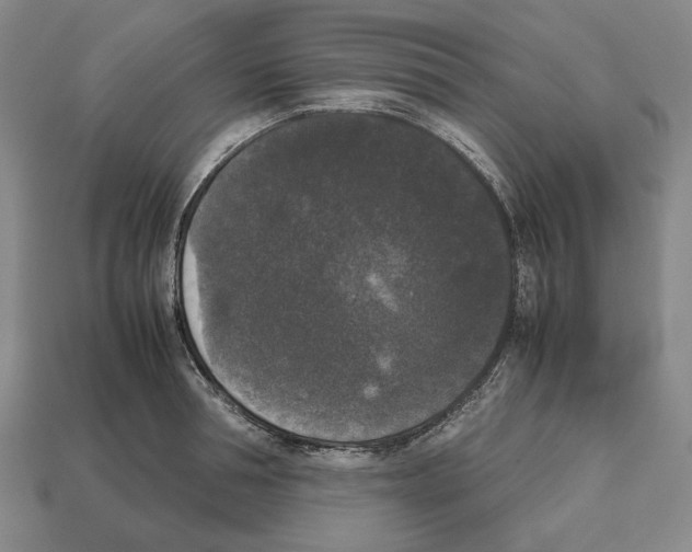 X0000112530994200909281034