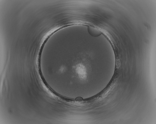 X0000112530995200909281034