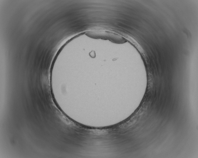 X0000112530996200909281034