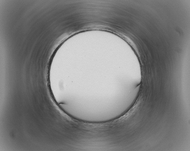 X0000112530997200909281034