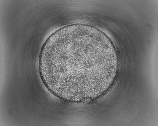 X0000112530999200909281034