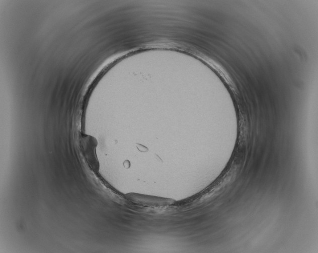 X0000112531000200909281034