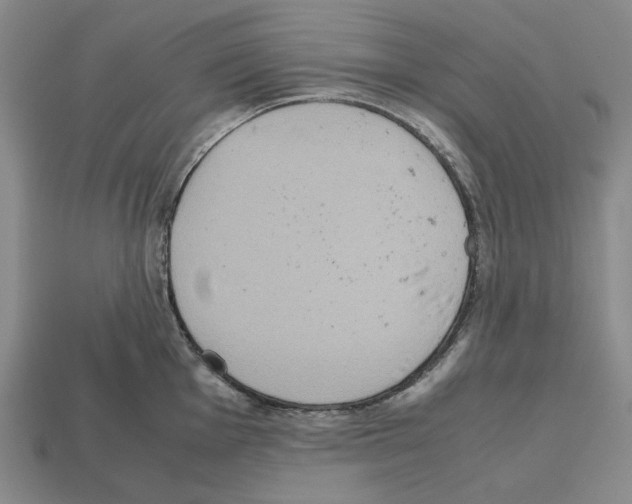 X0000112531001200909281034