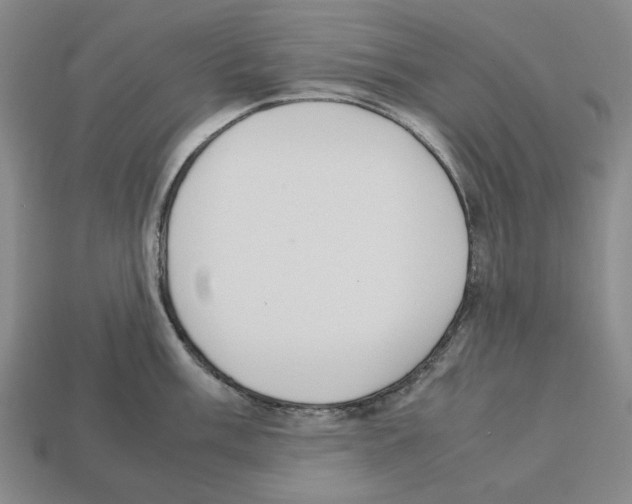 X0000112531003200909281034