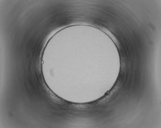 X0000112531004200909281034