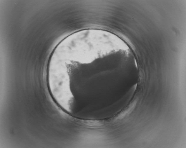 X0000112531007200909281034