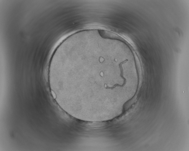 X0000112531008200909281034