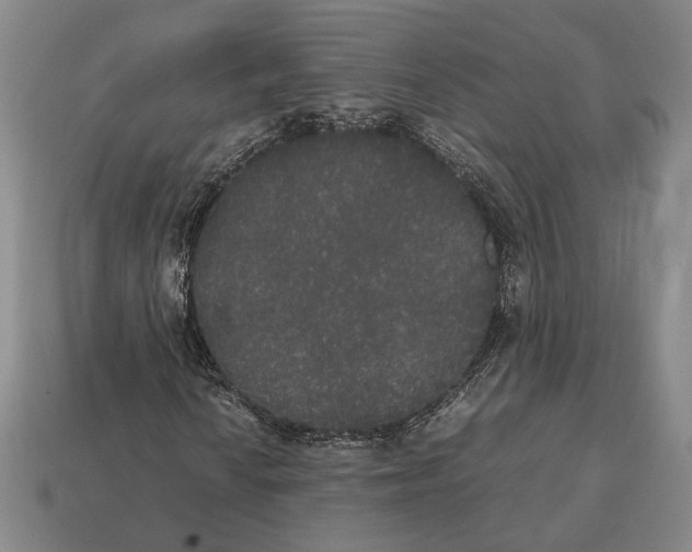 X0000112531010200909281033