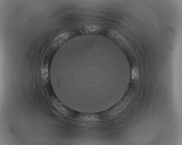 X0000112531011200909281033