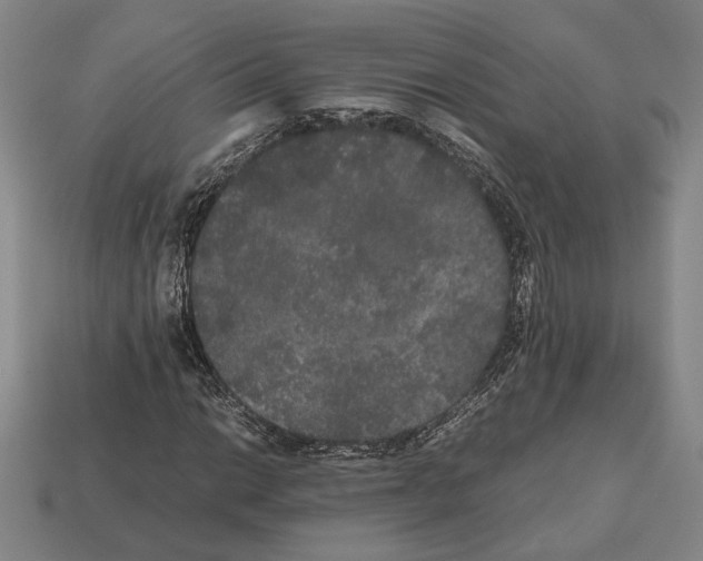 X0000112531014200909281033