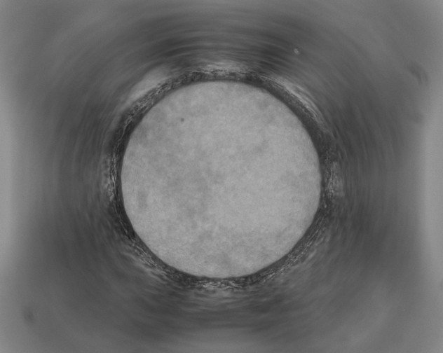 X0000112531015200909281033