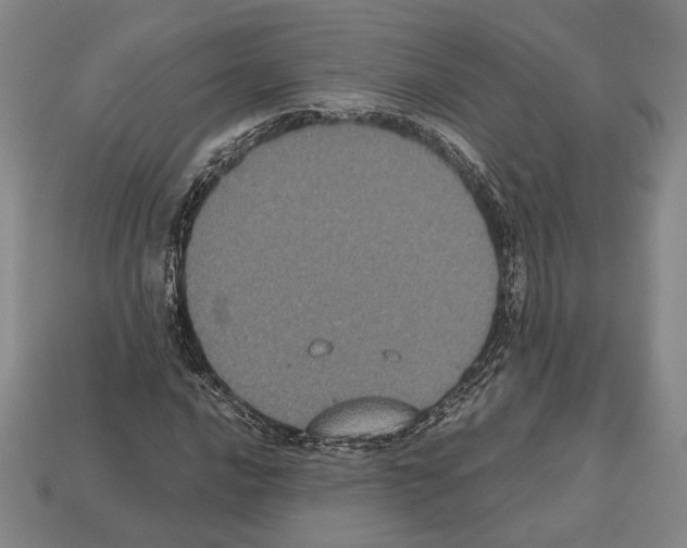 X0000112531016200909281033