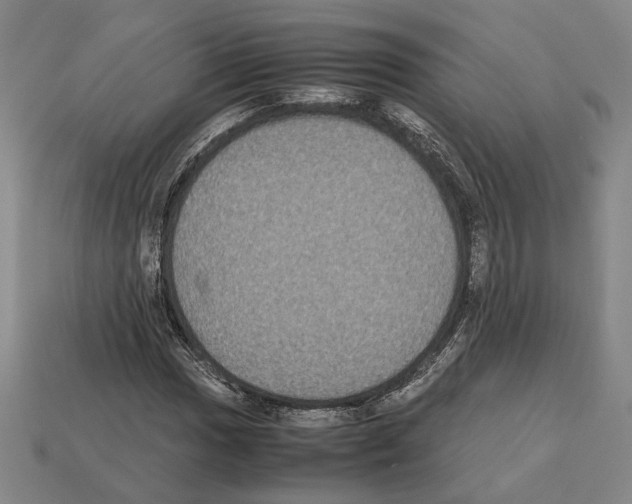 X0000112531017200909281033