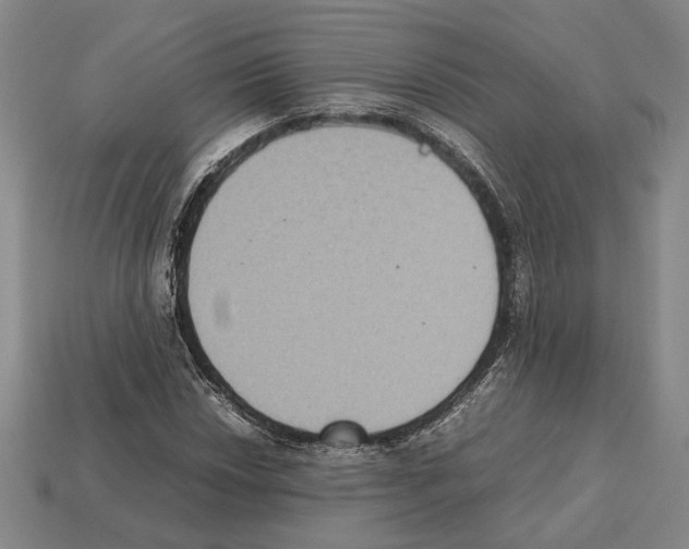 X0000112531018200909281033