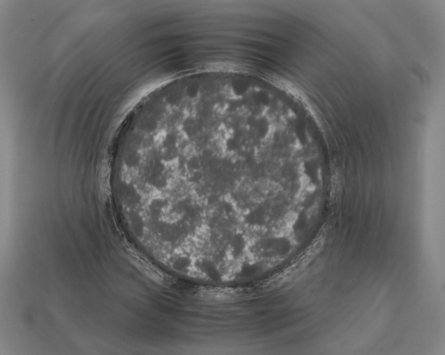 X0000112531019200909281033