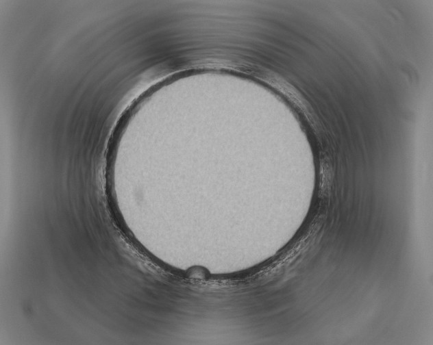 X0000112531020200909281033