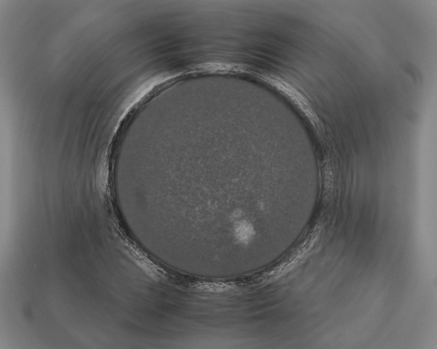 X0000112531023200909281033