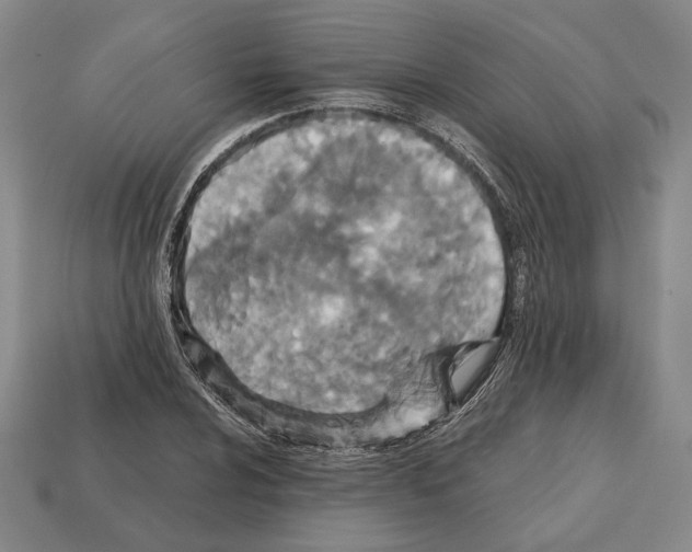 X0000112531024200909281033