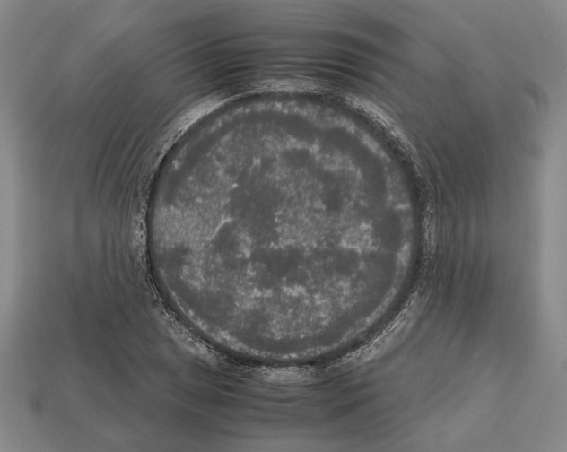 X0000112531025200909281033