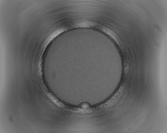 X0000112531026200909281033