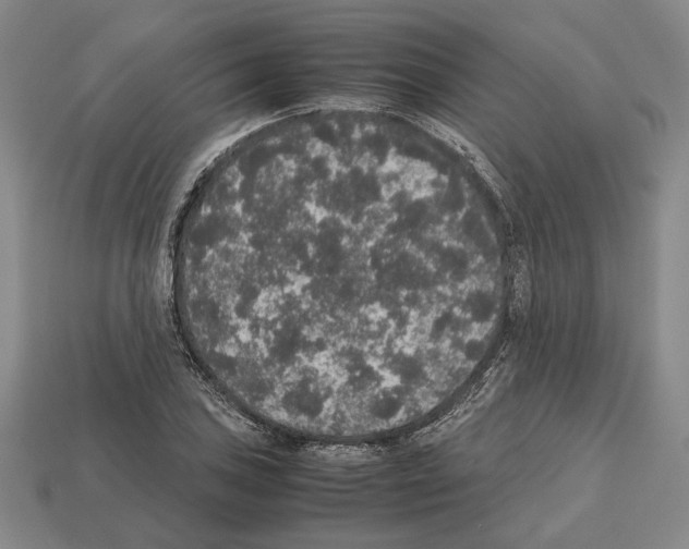 X0000112531027200909281033