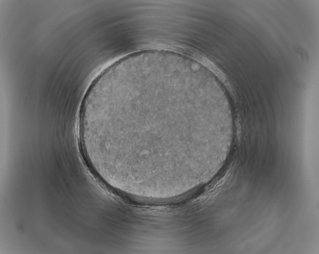 X0000112531028200909281033