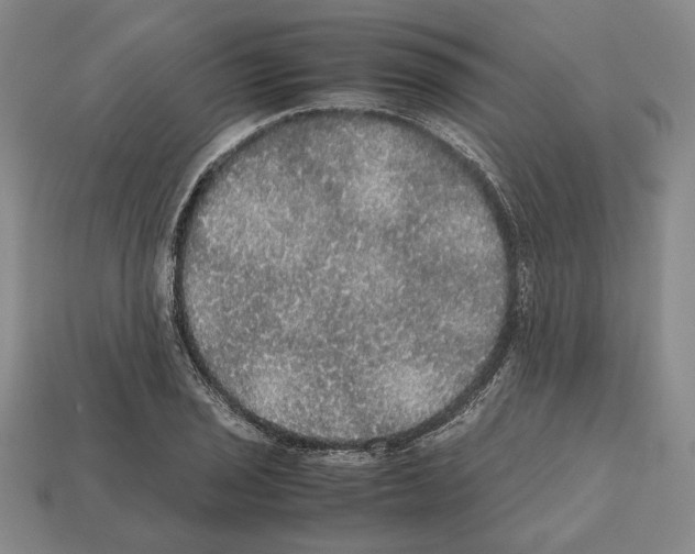 X0000112531029200909281033