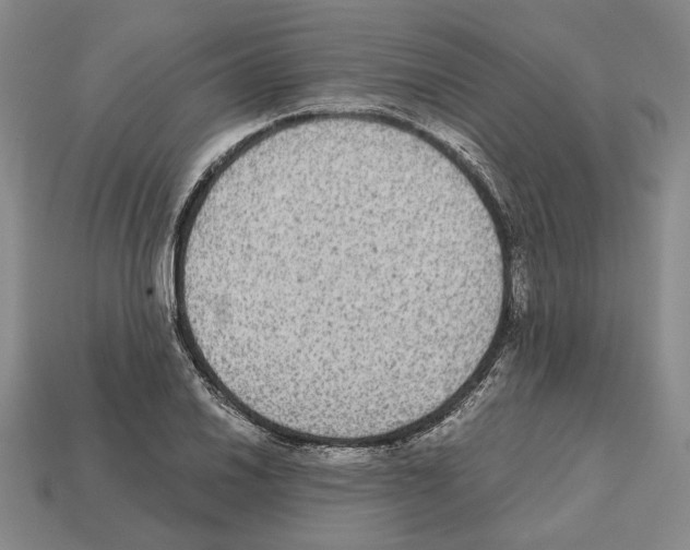 X0000112531030200909281033