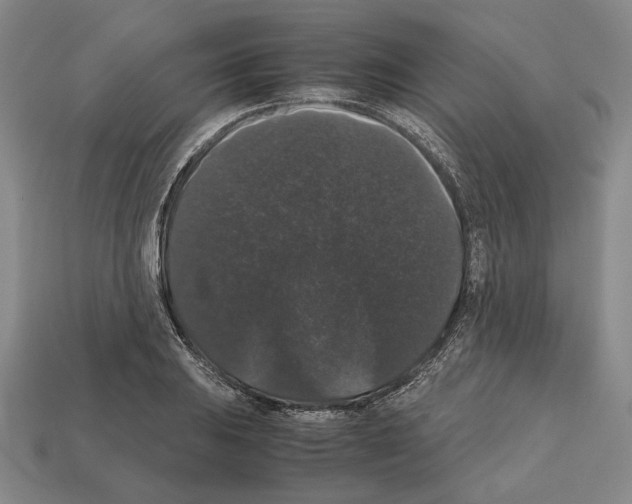 X0000112531031200909281033