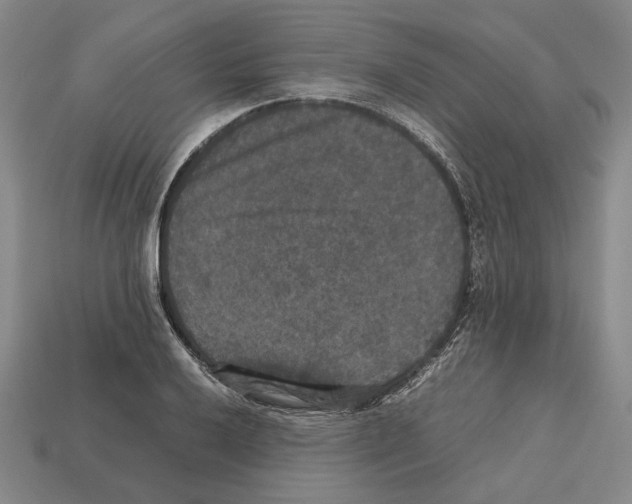 X0000112531032200909281033