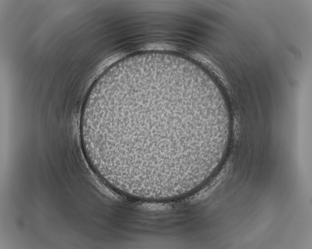 X0000112531033200909281033