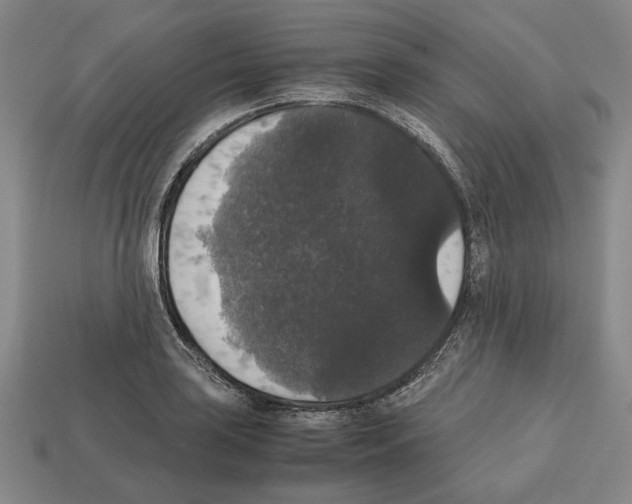 X0000112531035200909281033