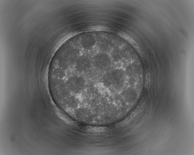 X0000112531039200909281033