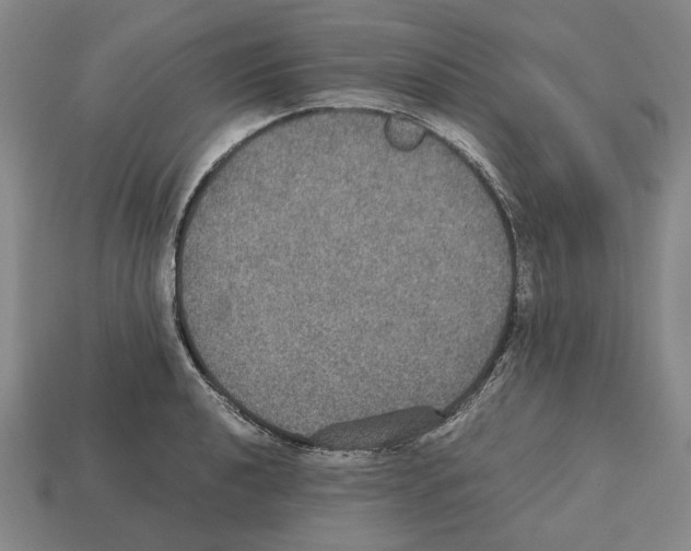 X0000112531040200909281033