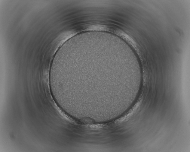 X0000112531041200909281033