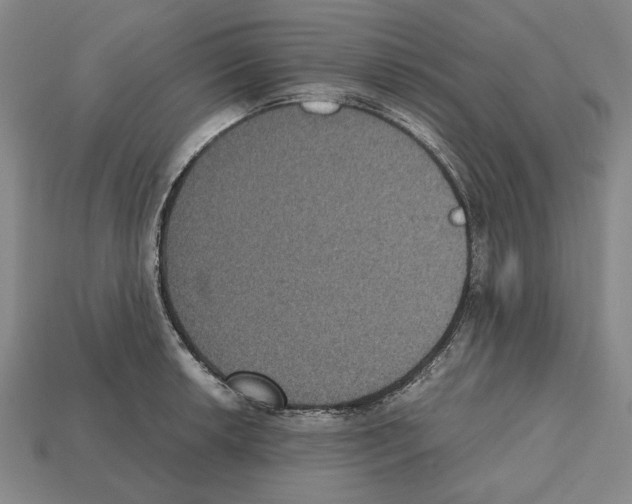 X0000112531042200909281033