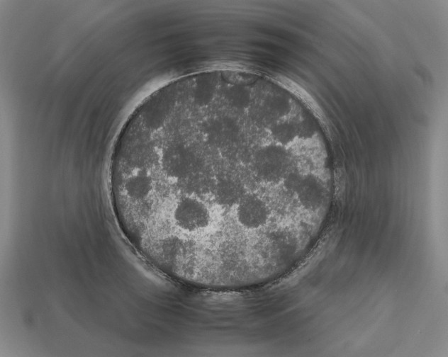 X0000112531043200909281034