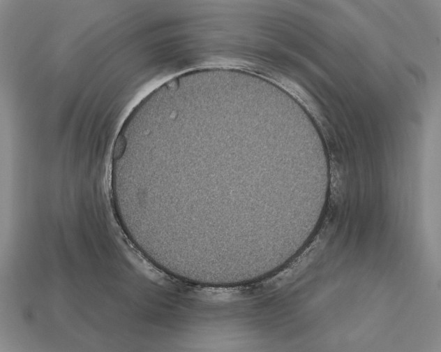 X0000112531044200909281034