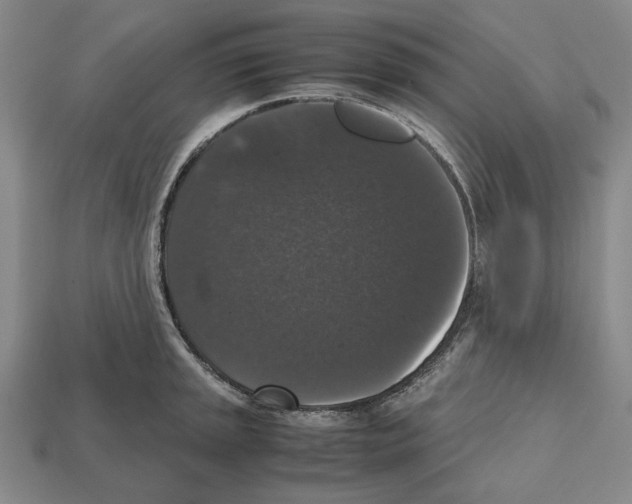 X0000112531045200909281034