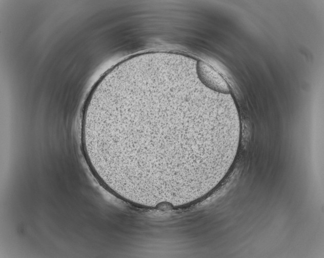 X0000112531046200909281034