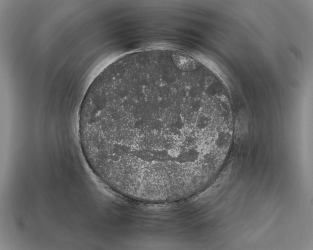 X0000112531047200909281034