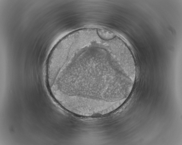 X0000112531048200909281034