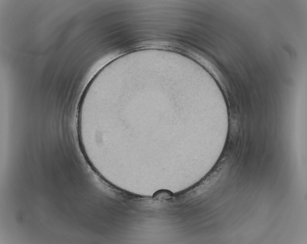 X0000112531050200909281034