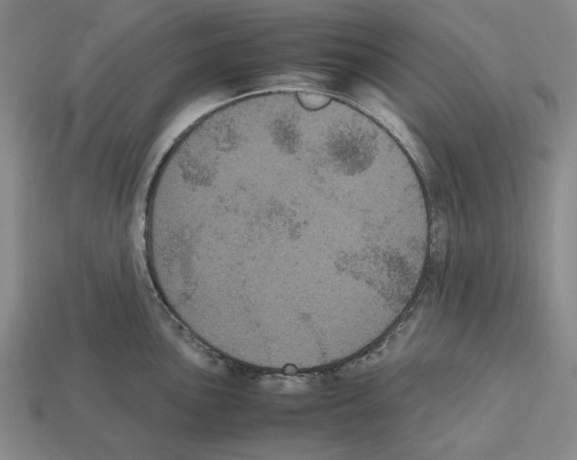 X0000112531051200909281034