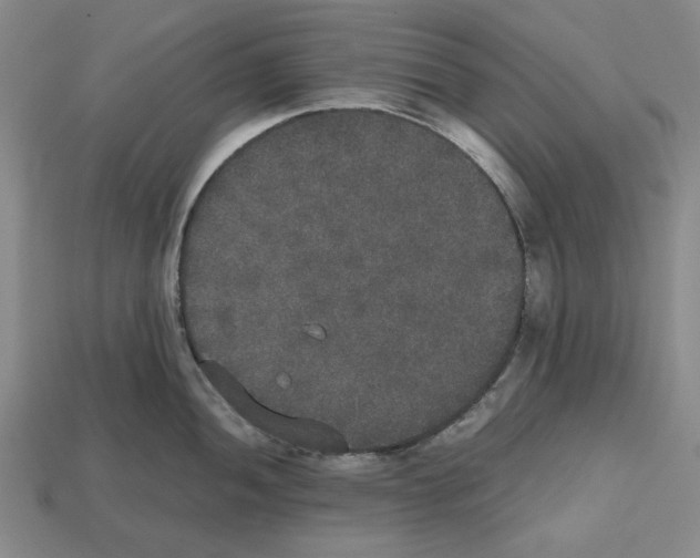 X0000112531052200909281034