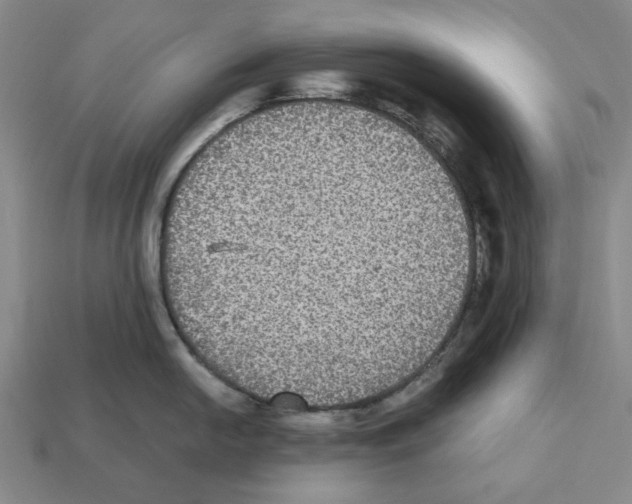 X0000112531054200909281034