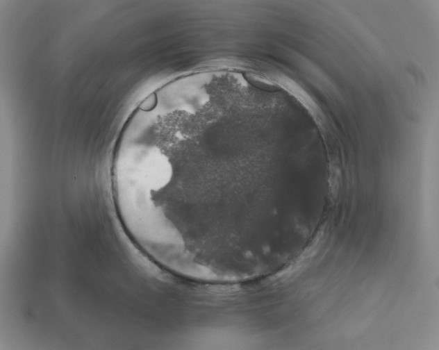 X0000112531055200909281034