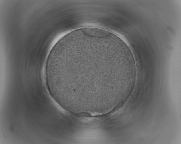 X0000112531056200909281034