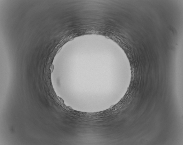 X0000112531057200909281033